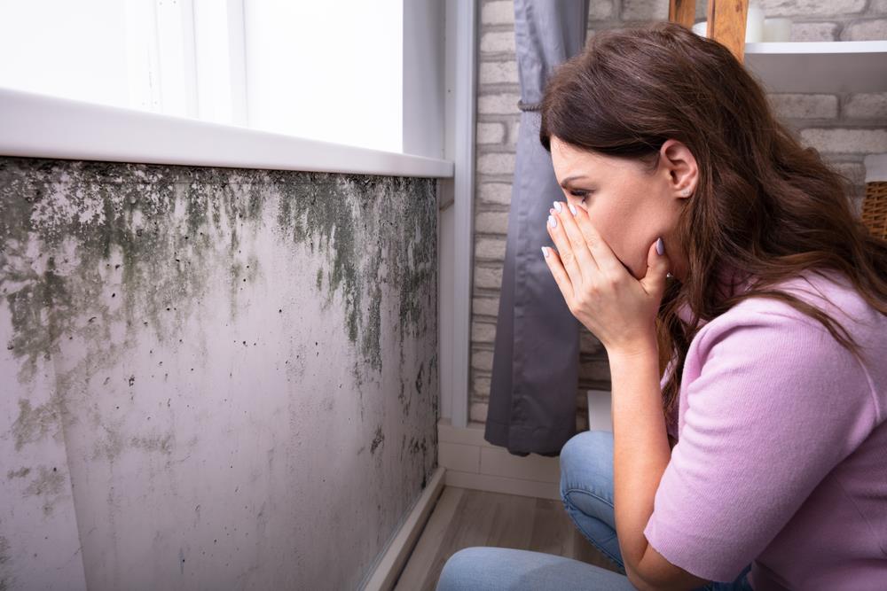 The Dangers of Mold Exposure in Fort Lauderdale